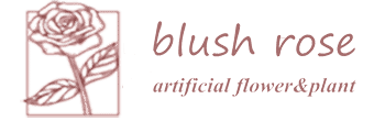 Blush-Rose