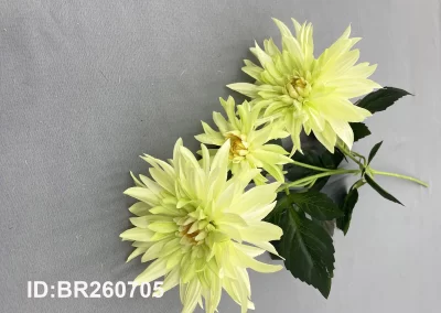 single stem chrysanthemum for event China supplier BR260705