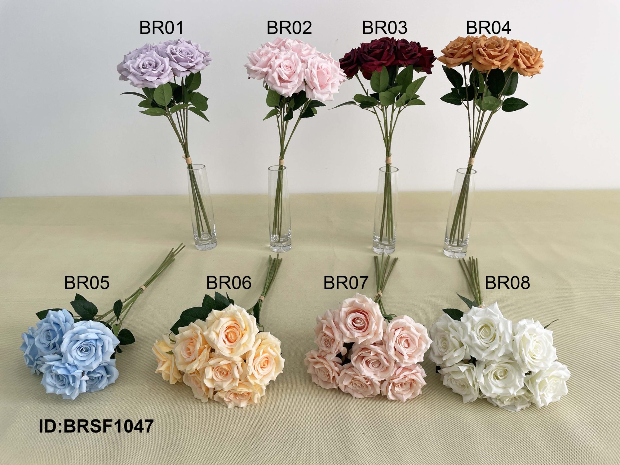 BRSF1047